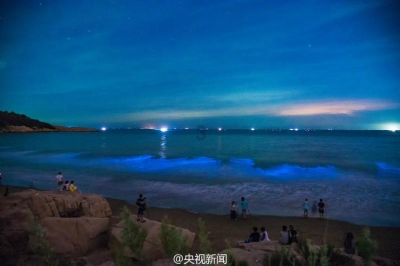 林丹携子转战网球场，用心陪伴引网友热议：好爸爸的新篇章